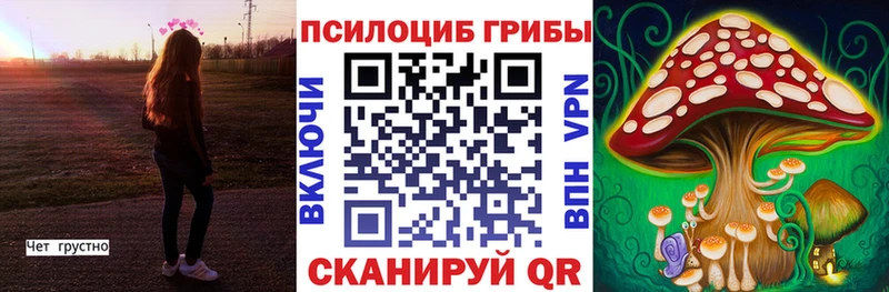 Купить где  Сыктывкар  Галлюциногенные грибы Psilocybe 